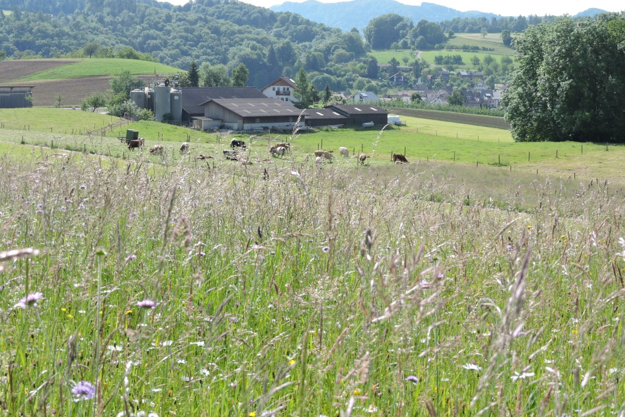 Mitten in der Natur!