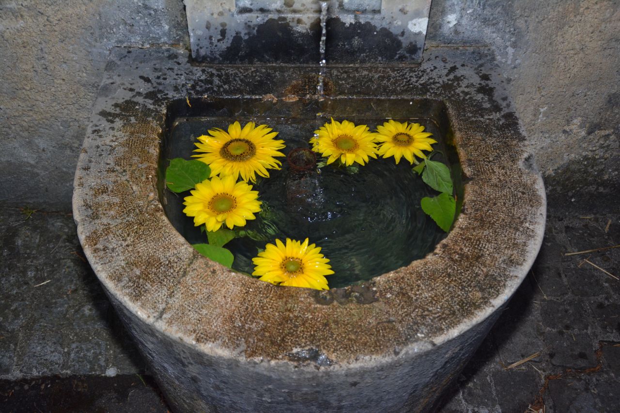 Titterter Wasser von der Goldbrunnenquelle (Foto Hans Peter Aebischer)